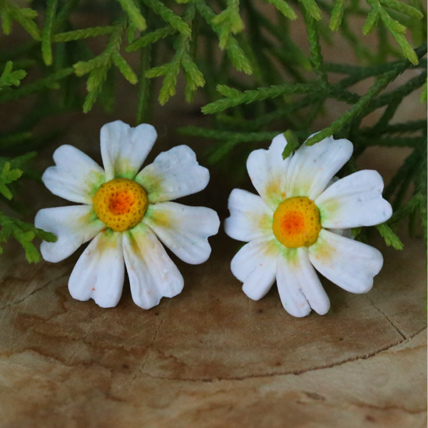 White Daisy Flower Ear Studs