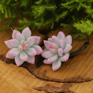 Succulent Plant Earrings